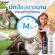 GAGER Cat Shower Shampoo, Soft Fairy Flee, very fragrant, extracted from premium grade rice milk, Cat Shampoo 250ml cat shampoo.