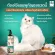 ซื้อ 1 แถม 1 แชมพูน้ำมันกัญ 250ml + แปรงอาบน้ำซิลิโคน HAMP SEED OIL สุนัข แมว สูตรอ่อนโยน ลดขนร่วง แก้อักเสบ ขี้เรื้อน
