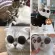 Cheapest! Ready to send glasses fashion glasses for pets