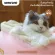 Genuine ready to deliver Nian Gao Fruit Cake Sofa. Soft, comfortable mattress. Beautiful pet mattress for pets