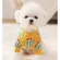 Cactusss  เสื้อน้องหมาน้องเเมว