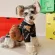 Tawney Bear  เสื้อผ้าน้องเเมวน้องหมา