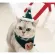 Super X'Mas Set  สำหรับน้องหมาน้องเเมว