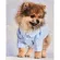 Scotty Pajamas Dog Shirt