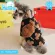 Tawney Bear  เสื้อผ้าน้องเเมวน้องหมา