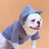 Paws Hoodie Dog Shirt