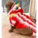 Chinese New Year For the dog