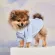 Scotty Pajamas Dog Shirt