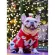 Super X'Mas Set  สำหรับน้องหมาน้องเเมว