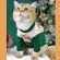 Rudolf Sweather เสื้อน้องหมาน้องเเมว