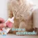 ใช้ดีมาก  ยาสีฟันแมว  กลิ่นชีส ขจัดคราบเหลือง ลดหินปูน ลมปากสะอาด