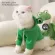 Fashion clothes, frogs, dinosaur sets for beloved pets Cat-dog 010