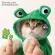 Fashion clothes, frogs, dinosaur sets for beloved pets Cat-dog 010