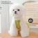 Fashion clothes For beloved pets Cat-dog 001