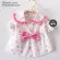 Fashion clothes Strawberry For beloved pets Cat-dog 004