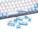 Whale Dye-Sublimation Mechanical Keyboard Cute Keycaps Pbt Oem Profile Keycap For Gh60 Gk61 Gk64 Keyboard