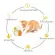 Chicken cat toys, fun cats, laser laser, cat laser, automatic cat toys Cat raising equipment Toys for cats of all ages