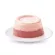 Jerhigh Panna Cotta 70g ขนมสำหรับสุนัข ขนมสุนัข ไอติมสุนัข พุดดิ้งสุนัข ขนมสุนัขบำรุงขน ขนมสุนัขบำรุงสายตา
