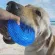 ของเล่นสุนัข ของเล่นหมา วงแหวน รูปโดนัท ยางกัด มีเสียง ช่วยทำความสะอาดฟันสุนัข อุปกรณ์สัตว์เลี้ยง ของเล่นแก้เบื่อ