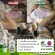 Skin rash treatment kit, swamp, leprosy, shampoo, 250 ml +210ml spray
