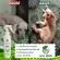 Cat dog spray Dermatitis, red rash