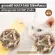 Cheapest! Ready to deliver, Matatabi wood, cat tooth, with Catnip ball inside, toy balls for pets