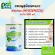 300ml. แชมพูแมว แชมพูสุนัข Kevina Hygienics Shampoo แชมพูสุนัข แชมพูแมว ฆ่าเชื้อแบคทีเรีย เชื้อรา ยีสต์ สูตรอ่อน