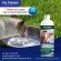 น้ำยาดับกลิ่นปาก สุนัข และ แมว Pet Protect - Fresh Breath Water Additive น้ำยาทำความสะอาดช่องปากสัตว์เลี้ยง