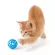 ลูกบอลแมว ของเล่นแมว ลูกบอล ลูกบอลกระดิ่ง บอลแมว ของเล่นลูกแมว ของเล่นแมวราคาถูก
