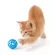 Cat balls, cats, cats, ball ball balls, cats, cats, kittens Cheap cat toys