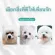 Free delivery MU My Pet tears