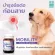ซื้อ 2 แถม 1 หอยแมลงภู่ MOBILITY 120 เม็ด ฟื้นฟูข้อต่อ ข้อต่อสะโพก ขาอ่อนแรง สุนัข แมว BETAPET