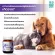 Buy 2 get 1 free mussels, Mobility 120 tablets, restore joints, joints, hips, weak legs, dogs, cats, betapets