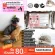 PET Max Dietary Supplement for 1,000 grams/Dwarf Hamster/Rice/Dog Cat/Rice Gatsby/Rabbit/Nok and Parma Free Delivery