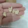 50 grams of dried apples for pets Sugar Gristmaster Hamster Squirrel Dor Samerrd