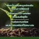 BIONIC Plant Pro ไบโอนิค แพลนท์ โปร ขนาด 100 กรัม แบคทีเรีย กระตุ้นการเจริญเติบโตของพืช ทดแทนการใช้ปุ๋ยเคมี เพิ่มธาตุอาหารในดิน ปุ๋ย ดิน