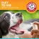 Body reduction spray for Fresh Breath Dental Spray for Dogs, Mint Flavor 118 ML Arm & Hammer®