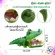 Crocodiles for decorating fish cabinets Doll released oxygen, fish tank decoration