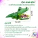 Crocodiles for decorating fish cabinets Doll released oxygen, fish tank decoration