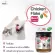 Dog food and cat food powder, add flavor, Delicio, cat dessert, dessert, Delisio. Toping helps to want food.