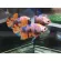 อาหารปลา อาหารปลากัด ออฟติมั่ม OPTIMUM BETTA 20 g. อาหารปลากัด สูตรเร่งสี เร่งโต ใช้แล้วน้ำไม่ขุ่น