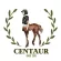 อาหารเสริมสำหรับม้า  บำรุงกล้ามเนื้อ Centaur Muscle Plus