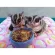 Diet food for all kinds of animal teeth