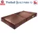 ThaiBULL Sofa Sofa Sofa Sofa Bed Bed Sofabed model OLT-PU501-72 (PU)