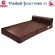 ThaiBULL Sofa Sofa Sofa Sofa Bed Bed Sofabed model OLT-PU501-72 (PU)