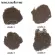 Getzhop Coffee Seed Ground Gustino coffee and grains grinding the Gustino model FD85 (Black)