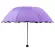 Getzhop shade, rainproof, water, front pattern, shade, 90 centimeters wide, foldable umbrella- purple