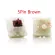Gateron 5Pin Milky Clear 5Pin Switch for Mechanical Keyboard Fit GK61 GK64 RK61 Teclado Mecanico Switches