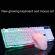 LED GLOWING COMPUTER DESK WIRED MECHANICLARD and Mouse Game Suite USB