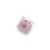 Everglide Switch Sakura Pink Jade Green Coral Red Amber Oran MX Stem with Transparent Clear Housing for Mechanical Keyboard 5Pin